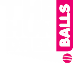 the hundred logo